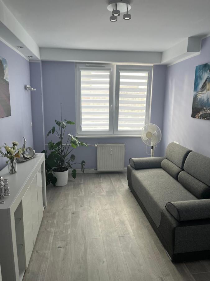 Nysa-Rynek Apartment ภายนอก รูปภาพ